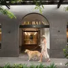 206/20 Wyandra Street, Newstead, Qld 4006-Image