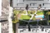 206/22B George Street, Leichhardt, NSW 2040-Image