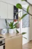 20606/99 Esplanade, Cairns City QLD 4870-Image