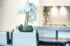 207/1 Cliff Road, Epping, NSW 2121-Image