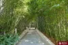 207/18 O'Dea Avenue, Waterloo, NSW 2017-Image
