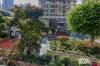 207/33 Ultimo Road, Haymarket, NSW 2000-Image