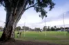 208/22 Anzac Highway, Everard Park, SA 5035-Image