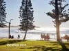 208/822 Pittwater Road, Dee Why, NSW 2099-Image