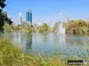 209/130A Mounts Bay Road, Perth, WA 6000-Image