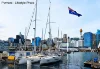 209 Harris Street, Pyrmont, NSW 2009-Image