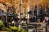 21/120 Saunders Street, Pyrmont, NSW 2009-Image