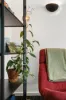 21/47 Mcmillan Crescent, Griffith, ACT 2603-Image