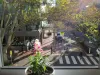 210/28 Macleay Street, Potts Point, NSW 2011-Image
