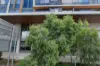 2104/908 Canning Highway, Applecross, WA 6153-Image