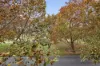 211/126-128 Mounts Bay Road, Perth, WA 6000-Image