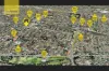 211/5B Hampden Road, Lakemba, NSW 2195-Image