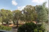 215/4 Anzac Park, Campbell, ACT 2612-Image