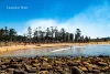 217/16-22 Sturdee Parade, Dee Why, NSW 2099-Image