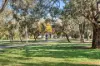219/1 Anthony Rolfe Avenue, Gungahlin, ACT 2912-Image