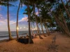 2202/2-22 Veivers Rd, Palm Cove, Qld 4879-Image