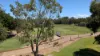221/42 Kooindah Boulevard, Wyong, NSW 2259-Image
