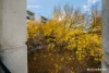 222/43 Currong Street North, Braddon, ACT 2612-Image