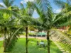 222/49-63 Williams Esplanade, Palm Cove, Qld 4879-Image
