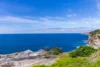 224 Old South Head Road, Vaucluse, NSW 2030-Image