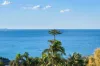 23/140 Addison Road, Manly, NSW 2095-Image