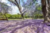 23/20 Pyrmont Bridge Road, Camperdown, NSW 2050-Image