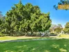23/42-50 Hampstead Road, Homebush West, NSW 2140-Image
