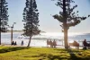 23/49-53 Delmar Parade, Dee Why, NSW 2099-Image