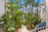 230/31 Orchid Avenue, Surfers Paradise, Qld 4217-Image
