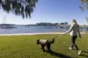 2308/2 Ephraim Island, Paradise Point, Qld 4216-Image