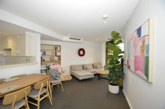 231/11 Potter Street, Waterloo, NSW 2017