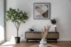 232/801 New Canterbury Road, Dulwich Hill, NSW 2203-Image