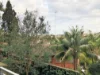 233 Alison Road, Randwick NSW 2031-Image