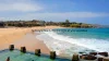 233 Alison Road, Randwick NSW 2031-Image