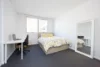 234/11 Potter Street, Waterloo, NSW 2017-Image