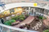 234/811 Elizabeth St, Zetland, NSW 2017-Image