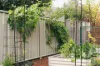 24/13 Thurlow Place, Belconnen, ACT 2617-Image