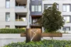 24/217 Northbourne Avenue, Turner, ACT 2612-Image