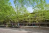 24/313 Harris Street, Pyrmont, NSW 2009-Image