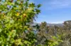 241/44 Constitution Avenue, Parkes, ACT 2600-Image