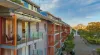 249/3 Darling Island Road, Pyrmont, NSW 2009-Image