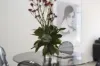 24p/6 Poplar Street, Surry Hills, NSW 2010-Image