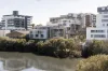 25/231-235 Canterbury Road, Canterbury, NSW 2193-Image