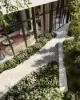 250 Albert Street, East Melbourne, Vic 3002-Image