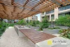 2503/82 Hay Street, Haymarket NSW 2000-Image