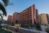 2506/6 Grove Street, Dulwich Hill, NSW 2203-Image