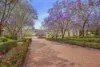 2605A/ 3 Main Street, Varsity Lakes, Qld 4227