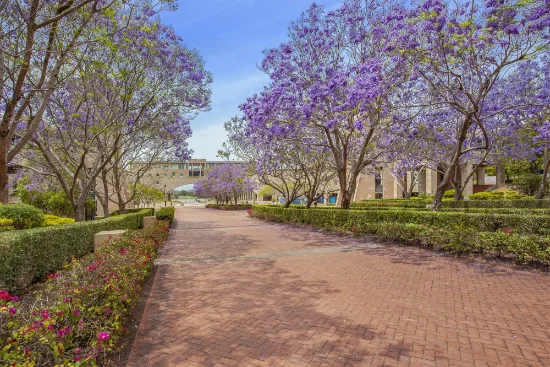 2605A/ 3 Main Street, Varsity Lakes, Qld 4227