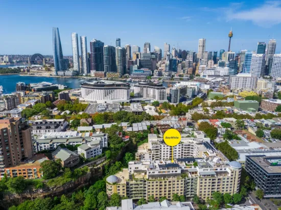 263/102 Miller Street, Pyrmont, NSW 2009-Image