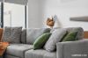 28/60 John Gorton Drive, Coombs, ACT 2611-Image